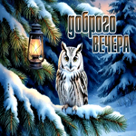 Picture спокойная открытка, добрый вечер и уютного настроения