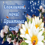 Картинка спокойной ночи и приятных снов