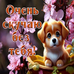 Picture сверкающая гиф-открытка, очень скучаю