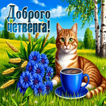 Picture светлая гиф-открытка, доброго четверга