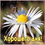 Открытка светлая картинка хорошего дня