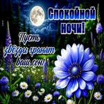Postcard трепетная гиф-открытка, пусть звезды хранят ваш сон