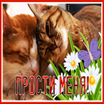 Picture трогательная и нежная открытка прости меня с анимацией