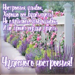 Открытка трогательная открытка для настроения