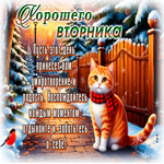 Postcard тёплая открытка, вторник с уютом и гармонией