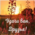 Картинка удачи вам, друзья