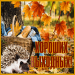 Postcard удачная картинка с пожеланием хороших выходных