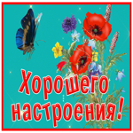 Картинка удивительная картинка для настроения