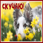 Postcard удивительная открытка скучаю с песиком и цветами