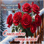 Picture уютная картинка, гармоничного понедельника!