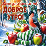 Postcard уютная открытка, доброго утречка