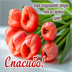 Postcard ваши поздравления тронули меня до глубины души! спасибо