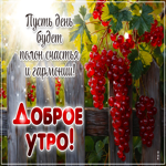 Picture великолепная гиф-открытка, пусть день будет полон счастья