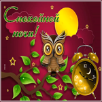 Picture великолепная картинка спокойной ночи с совой