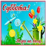 Открытка великолепная открыка с субботой