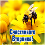 Picture великолепная открытка счастливого вторника