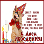 Picture веселая картинка с днем рождения, пусть жизнь идет легко и гладко