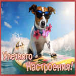 Postcard веселая открытка для улетного настроения