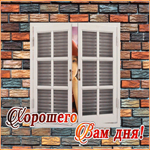 Открытка веселая открытка хорошего дня