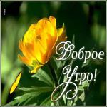 Картинка весенняя открытка доброе утро