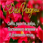 Открытка виртуальная открытка с днем рождения с пожеланиями