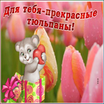 Открытка виртуальная открытка с тюльпанами