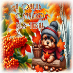 Postcard хрупкая гиф-открытка, хочу сказать скучаю