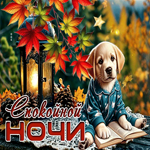 Postcard яркая гиф-открытка, спокойной ночи вам, сладких снов