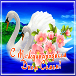 Picture яркая картинка международный день семьи