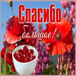 Picture яркая открытка большое спасибо