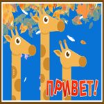Picture забавная картинка привет с осенью