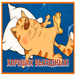 Postcard забавная картинка хороших выходных с котиком