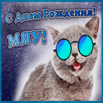 Картинка забавная открытка с днем рождения