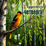 Postcard задорная гиф-открытка, чудесного четверга