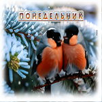 Picture замечательная гиф-открытка со снегирями, понедельник