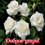 Picture замечательная картинка доброе утро