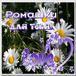 Picture замечательная открытка с ромашками для тебя