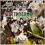 Открытка замечательная картинка для настроения