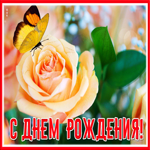 Postcard завораживающая открытка с днем рождения женщине
