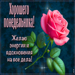 Picture желаю энергии и вдохновения! хорошего понедельника