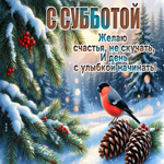 Postcard желаю счастья, не скучать и день с улыбки начинать