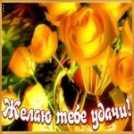 Открытка желаю тебе удачи от души