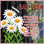 Открытка живая открытка с цветами
