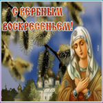 Открытка живая открытка с вербным воскресеньем