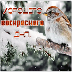 Картинка зимняя открытка хорошего воскресного дня