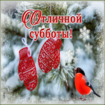Открытка зимняя открытка отличной субботы