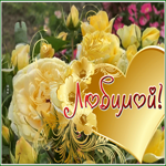 Picture живая открытка для любимой с розами
