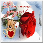 Postcard живая открытка для моих друзей с алой розой