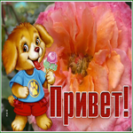 Picture живая открытка привет с собачкой