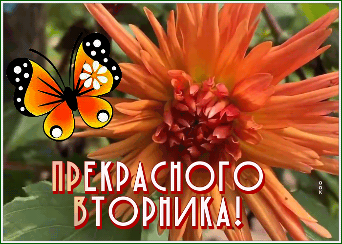 Postcard 1